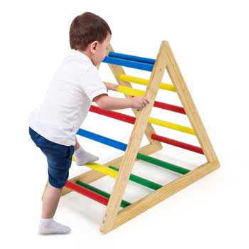 بالا رفتن از نردبان یا بار